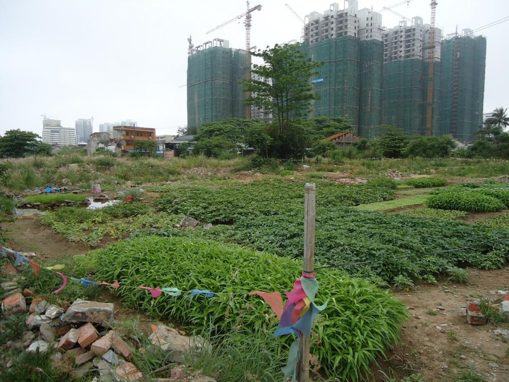 Sốt đất nền vùng ven Sài Gòn